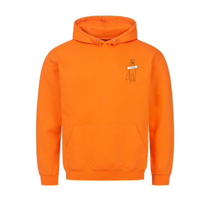 Image for color: orange
